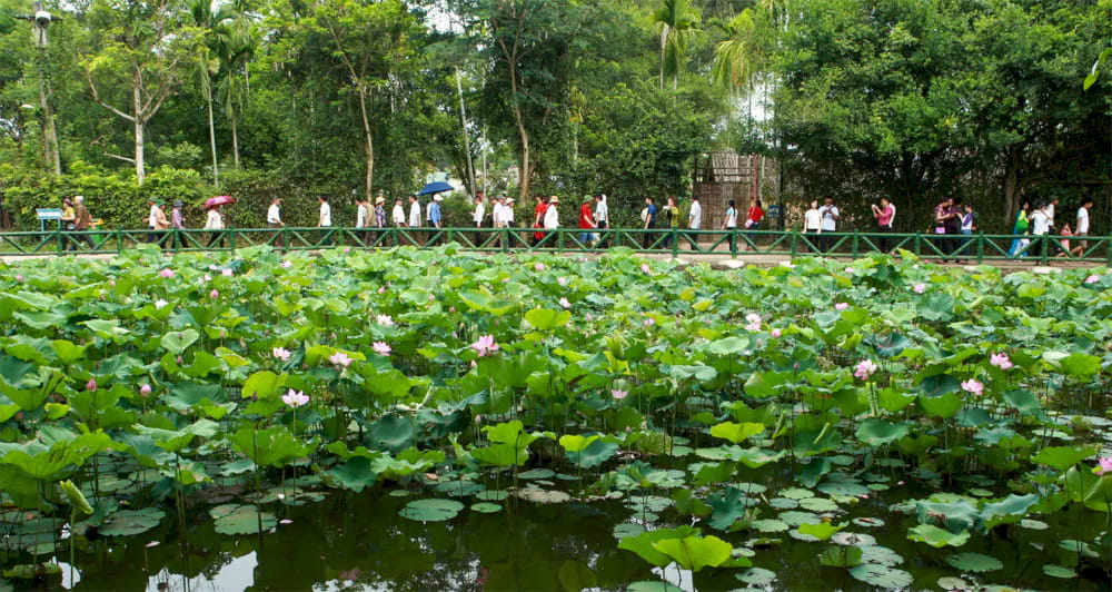 Làng Sen